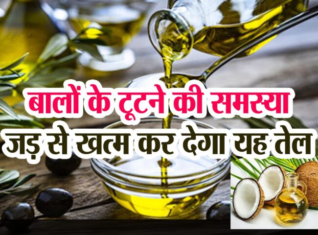 जतन क तल क 21 फयद उपयग और नकसन  Olive Oil Jaitun Ka Tel  Benefits Uses and Side Effects in Hindi