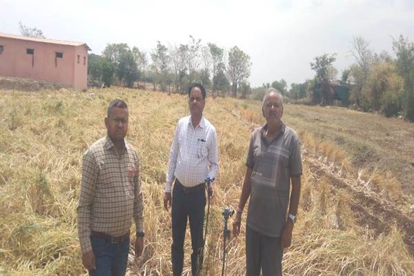 Unnat Kheti : उन्नत तरीकों से की खेती, एक साल में कमा डाले दस लाख रूपये
