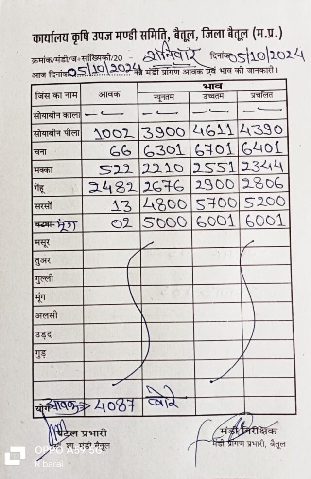 Today Betul Mandi Bhav : कृषि उपज मंडी बैतूल में 5 अक्टूबर 2024 के भाव