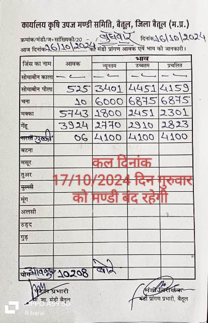 Today Betul Mandi Bhav : बैतूल मंडी में आज 16 अक्टूबर 2024 के भाव