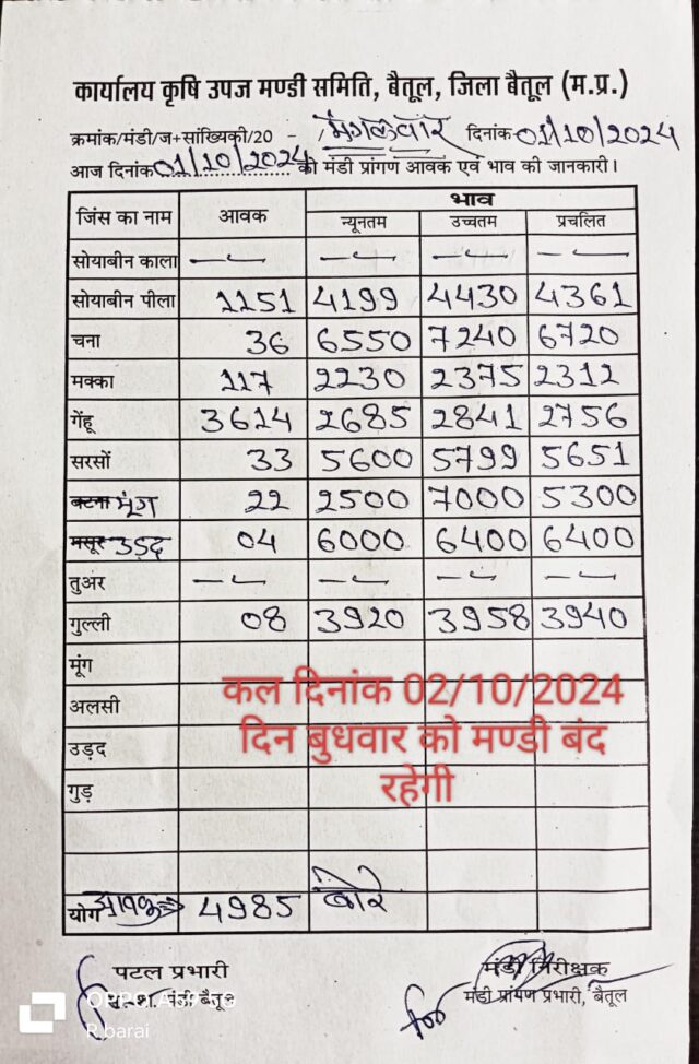 Today Betul Mandi Bhav : कृषि उपज मंडी बैतूल में 01 अक्टूबर 2024 के भाव