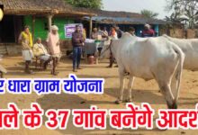 Kshir Dhara Gram Yojana: क्षीर धारा ग्राम योजना: बैतूल के 37 गांव बनेंगे आदर्श दुग्ध उत्पादन केंद्र, मिलेंगे उन्नत नस्ल के पशु