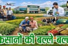 Madhya Pradesh Farmer Scheme 2026: किसानों के लिए नई पहल: बंद पड़ी यह खास योजना फिर होगी शुरू, फसल बीमा सुरक्षा का बढ़ेगा दायरा