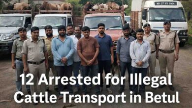 Betul Cow Smuggling Case: बैतूल में गोवंश तस्करी पर पुलिस का बड़ा एक्शन, 5 वाहन जब्त, 12 आरोपी गिरफ्तार