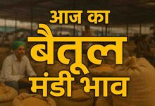 Betul Mandi Bhav 12 February: बैतूल मंडी में 12 फरवरी 2026 को 26838 क्विंटल आवक, मक्का सबसे आगे, जानें ताजा रेट