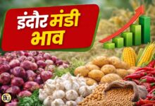 Indore Mandi Bhav: इंदौर मंडी भाव 23 फरवरी 2026: गेहूं 286 टन से ज्यादा आवक, लहसुन 10,700 तक पहुंचा
