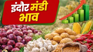 Indore Mandi Bhav 5 March: इंदौर मंडी भाव 5 मार्च: लहसुन 6210 तक, सोयाबीन 5395 और गेहूं 2713 रुपये तक पहुंचे