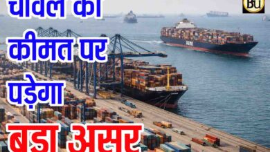 West Asia Tension Rice Export: पश्चिम एशिया में तनाव से चावल की कीमतों पर पड़ेगा बड़ा असर, सरकार ने बुलाई बैठक, होंगे बड़े फैसले