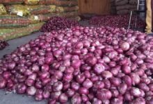 Onion Price Hike: जमाखोरी और निर्यात ने बढ़ाई प्याज की कीमतें, अक्टूबर से पहले राहत के आसार नहीं