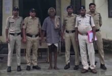 Betul Cannabis Farming: खेतों में मक्के की आड़ में उगाया जा रहा था गांजा, पुलिस की छापेमारी में 39 किलो माल बरामद