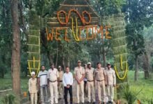 Bandhavgarh Tiger Reserve: बांधवगढ़ में नए पर्यटन सत्र की शानदार शुरुआत, पहले ही दिन पर्यटकों को हुए बाघिन के दीदार, यह हैं तैयारियां