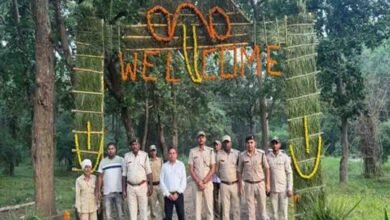 Bandhavgarh Tiger Reserve: बांधवगढ़ में नए पर्यटन सत्र की शानदार शुरुआत, पहले ही दिन पर्यटकों को हुए बाघिन के दीदार, यह हैं तैयारियां